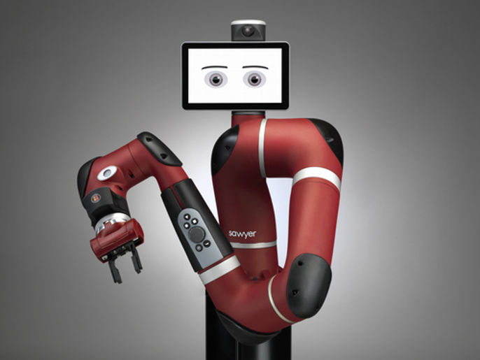 Bin Packing Robotic System